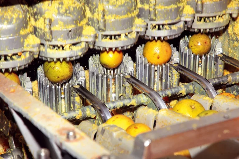 Juice Extraction